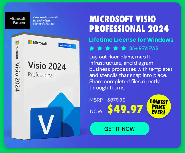 Microsoft Visio Professional 2024: Lifetime License for Windows