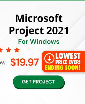 Microsoft Project Professional 2021 for Windows