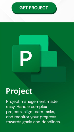 Microsoft Project 2021 Professional (PC)