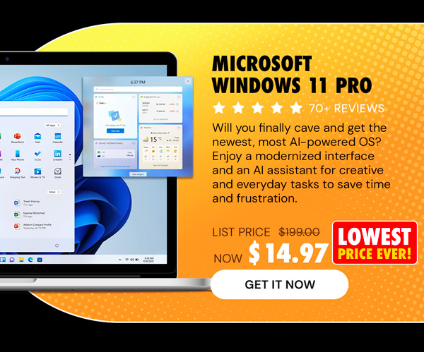 Microsoft Windows 11 Pro