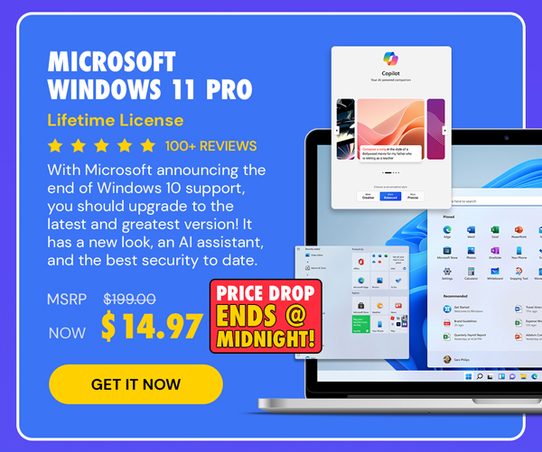 Microsoft Windows 11 Pro