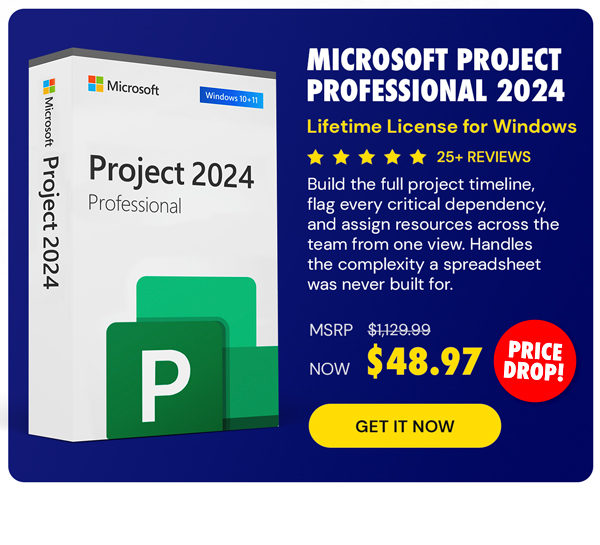 Microsoft Project Professional 2024: Lifetime License for Windows