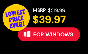 Microsoft Office Professional 2021 for Windows: Lifetime License