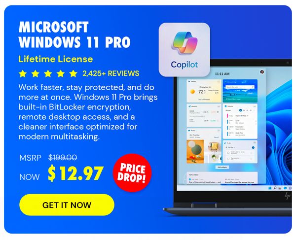 Microsoft Windows 11 Pro