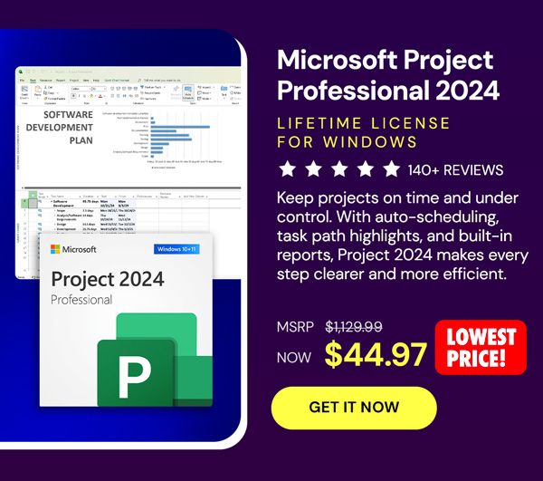 Microsoft Project Professional 2024: Lifetime License for Windows