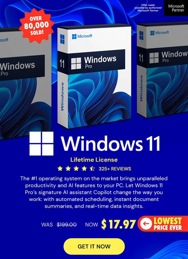 Microsoft Windows 11 Pro