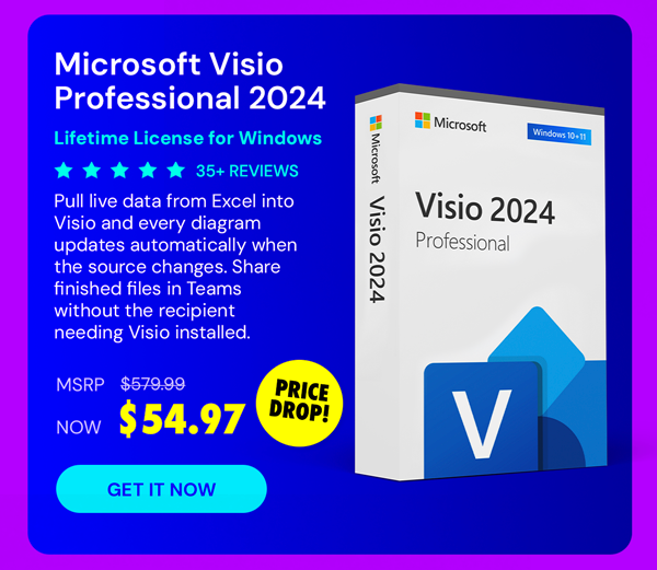 Microsoft Visio Professional 2024: Lifetime License for Windows
