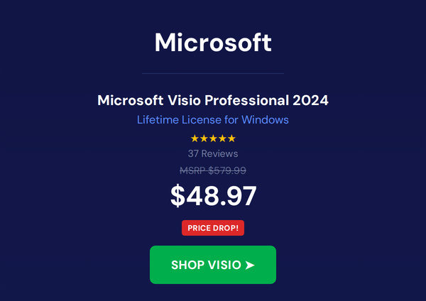 Microsoft Visio or Project 2024 Professional: Lifetime License for Windows