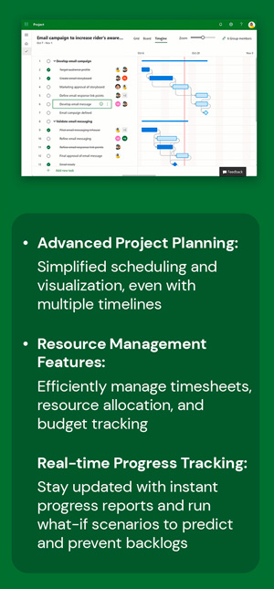 Microsoft Project 2021 Professional (PC)