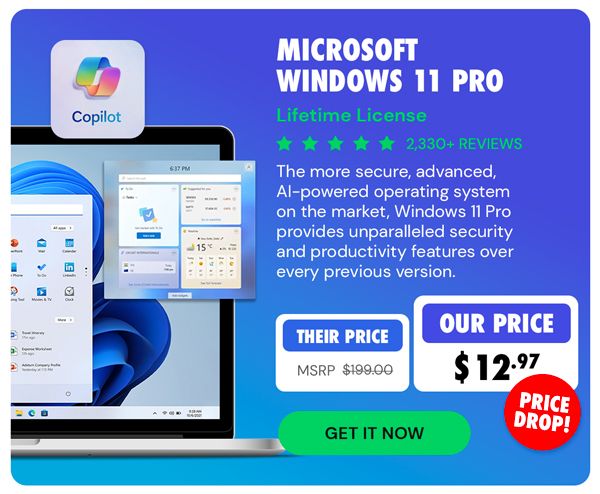 Microsoft Windows 11 Pro