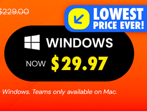 Microsoft Office Professional Plus 2019 for Windows