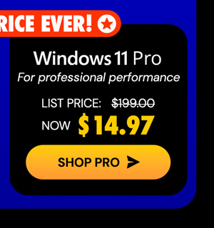 Microsoft Windows 11 Pro