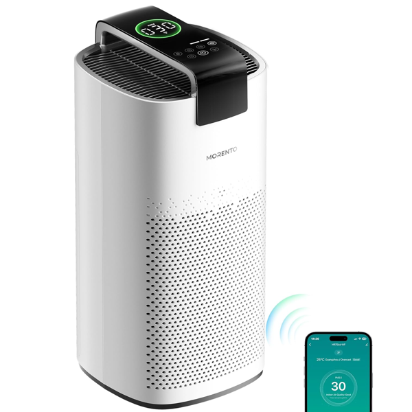 Large Room Air Purifier