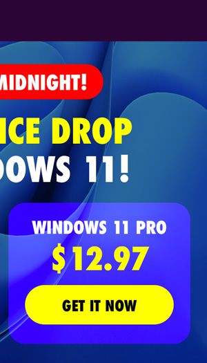 Microsoft Windows 11 Pro