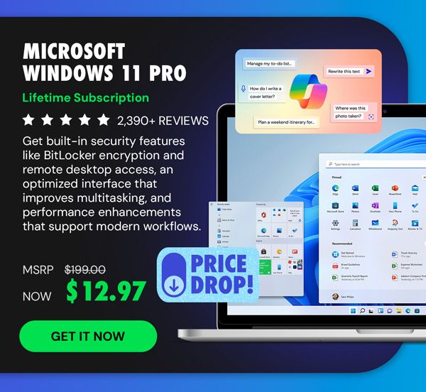 Microsoft Windows 11 Pro