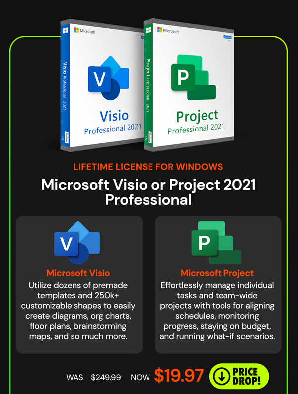 Microsoft Visio 2021 Professional for Windows