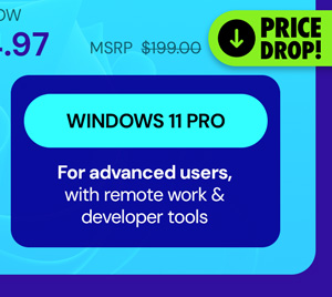 Microsoft Windows 11 Pro Lifetime License