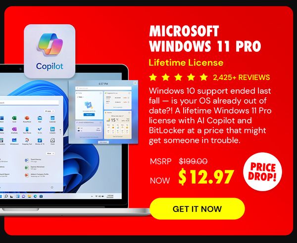Microsoft Windows 11 Pro