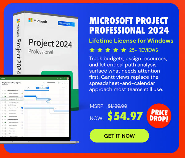 Microsoft Project Professional 2024: Lifetime License for Windows