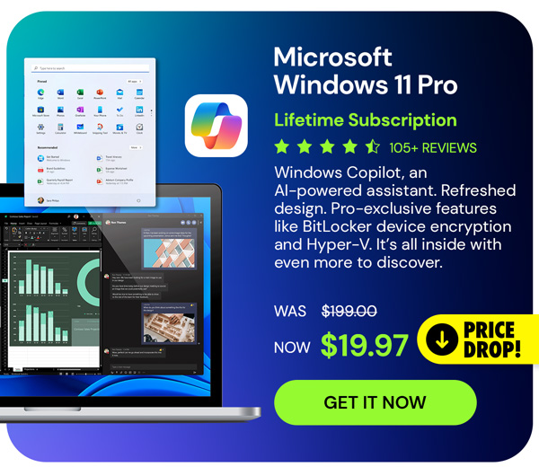 Microsoft Windows 11 Pro