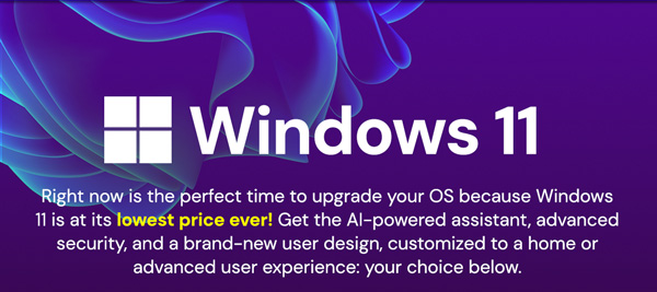 Microsoft Windows 11 Pro or Home | Lifetime License