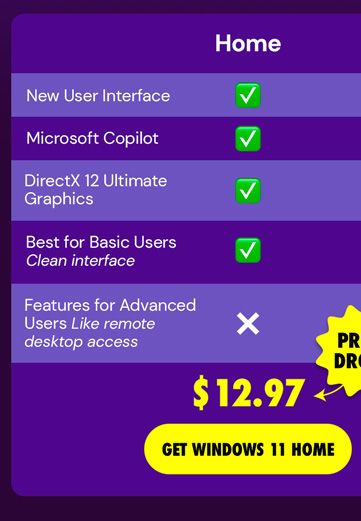 Microsoft Windows 11 Home