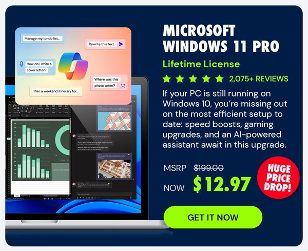 Microsoft Windows 11 Pro