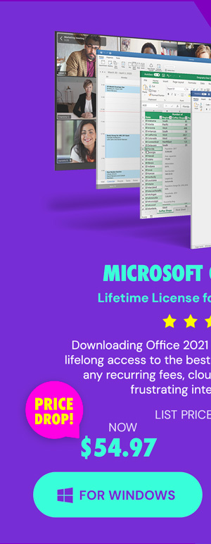 Microsoft Office Professional 2021 for Windows: Lifetime License
