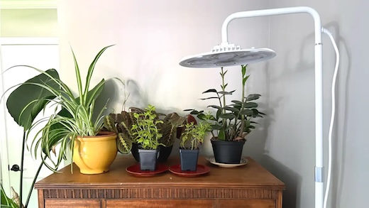 This floor lamp is secretly a plant life hack