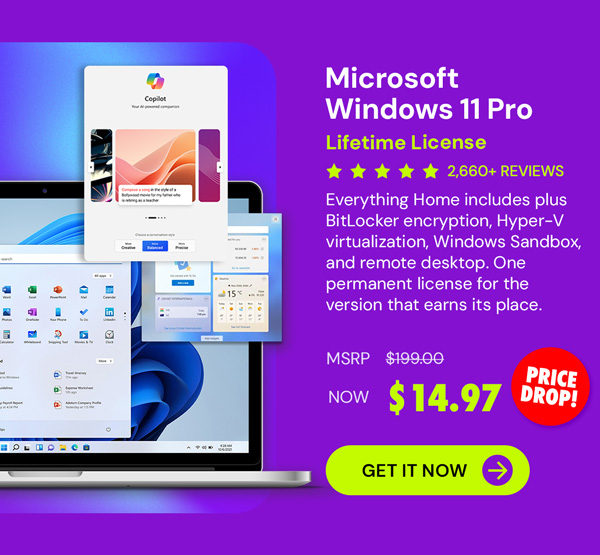 Microsoft Windows 11 Pro