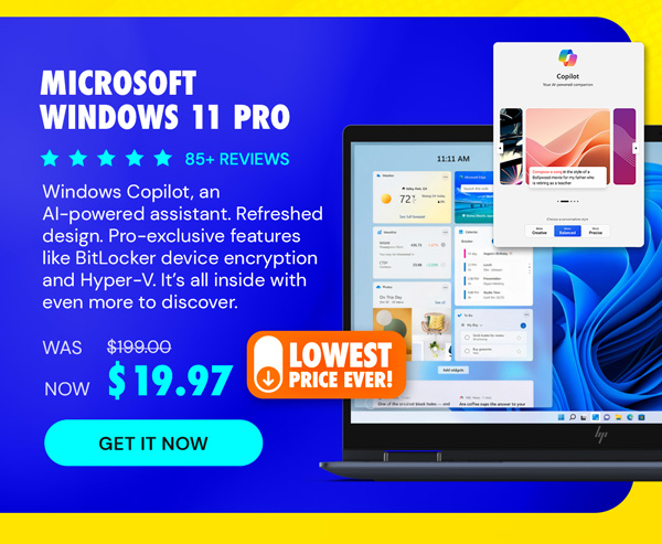 Microsoft Windows 11 Pro