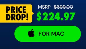 Intuit QuickBooks Desktop Pro Plus 2024 (1 User) for Mac: Lifetime Licenses