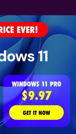 Microsoft Windows 11 Pro
