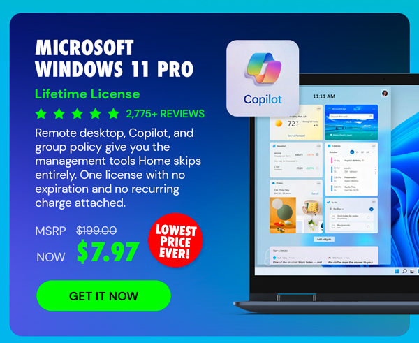 Microsoft Windows 11 Pro