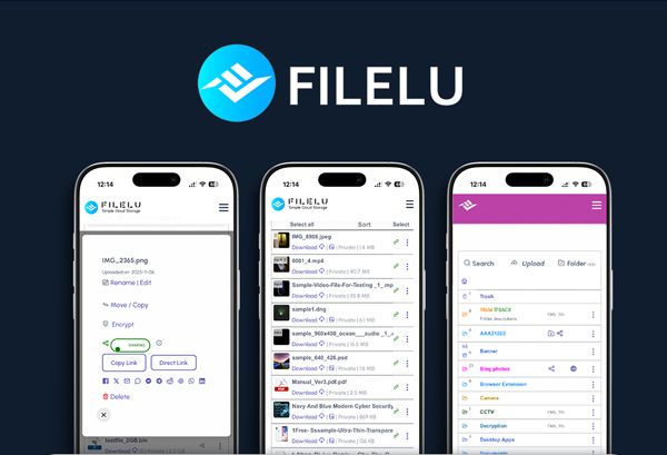 FileLu Cloud Storage Premium Plan: Lifetime Subscription (1TB-8TB)