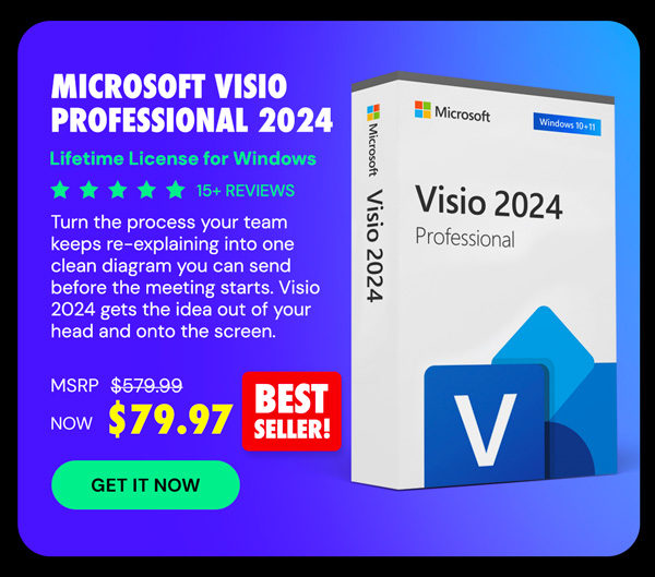 Microsoft Visio Professional 2024: Lifetime License for Windows