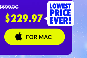 Intuit QuickBooks Desktop Pro Plus 2024 (1 User): Lifetime License