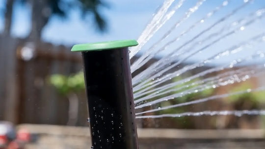 Your lawn is thirsty. Here’s how to feed it the smart way.