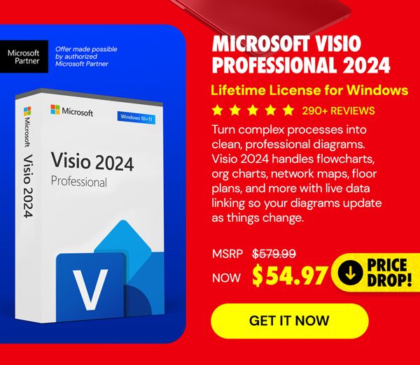Microsoft Visio Professional 2024: Lifetime License for Windows