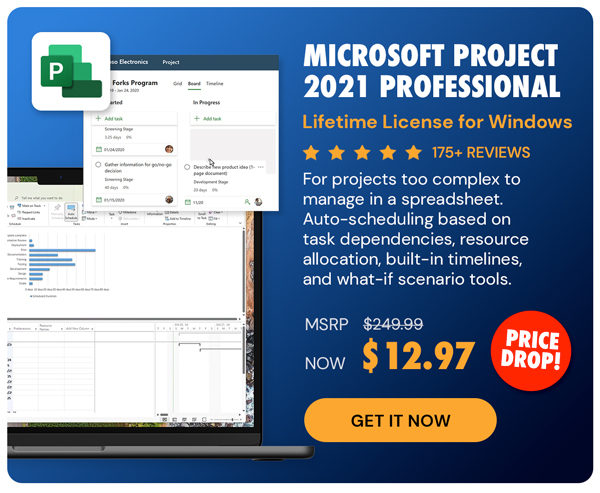 Microsoft Project 2021 Professional: Lifetime License for Windows