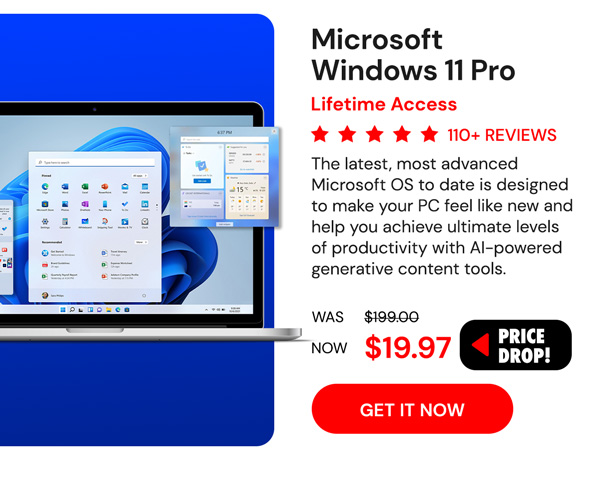 Microsoft Windows 11 Pro