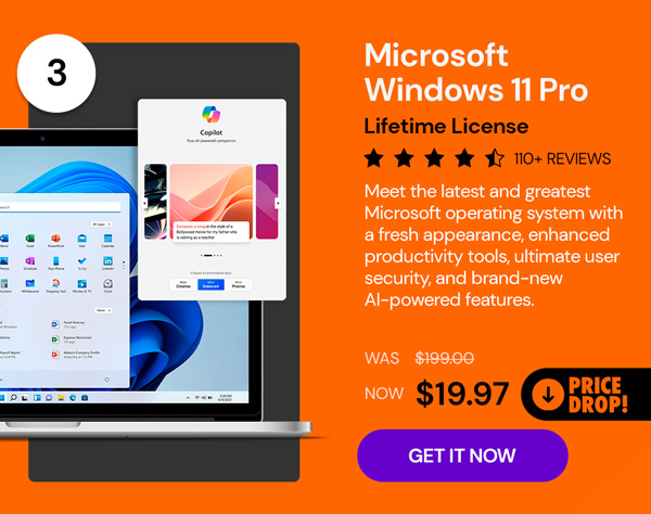 Microsoft Windows 11 Pro