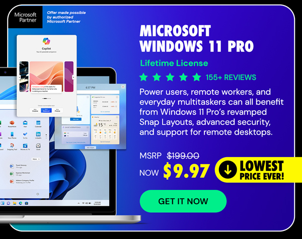 Microsoft Windows 11 Pro