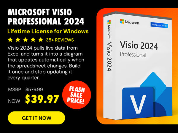 Microsoft Visio Professional 2024: Lifetime License for Windows