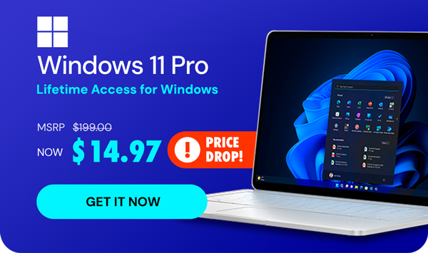Microsoft Windows 11 Pro