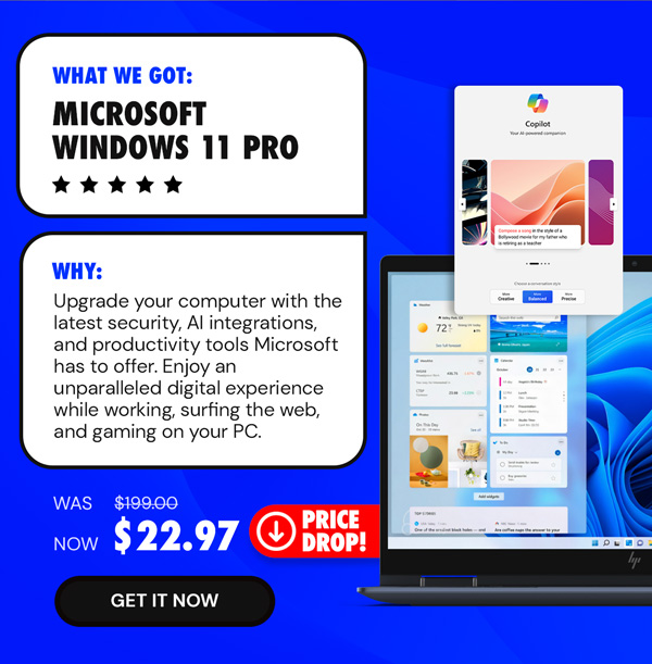 Microsoft Windows 11 Pro (Activation for Up to 3 PCs)