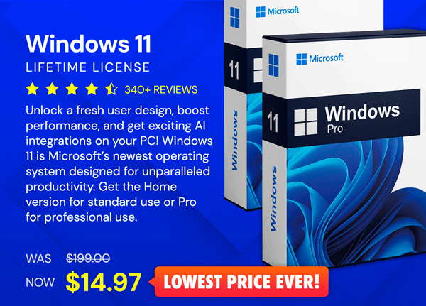 Microsoft Windows 11 Pro or Home Lifetime License