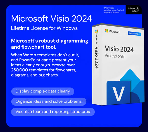Microsoft Visio 2024 Professional (PC)