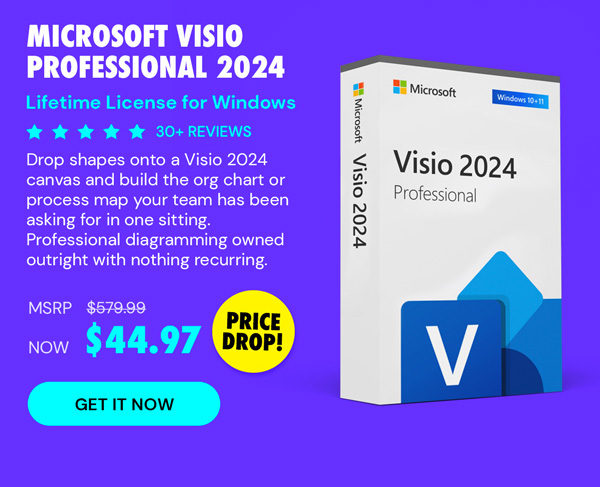 Microsoft Visio Professional 2024: Lifetime License for Windows