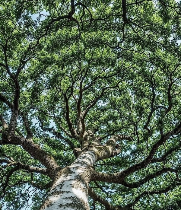 @citywisp on Instagram